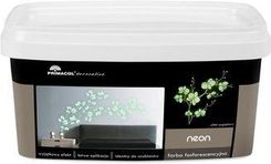 Zdjęcie Primacol Neon Fluorescencyjna 250 Ml - Ruda Śląska