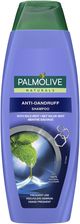 Palmolive szampon Przeciwłupieżowy z dziką miętą 350ml 