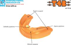 Zdjęcie Aparat MRC T4B trainer Elastyczny aparat ortodontyczny ortho - Dębica