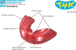 Zdjęcie Aparat MRC T4K trainer Faza I niebieski Elastyczny aparat ortodontyczny ortho - Mielec