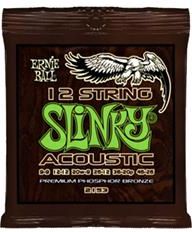 Ernie Ball 12-String Slinky