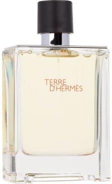 Hermes Terre D Hermes Flacon H2 2014 Woda Toaletowa 100 Ml Opinie