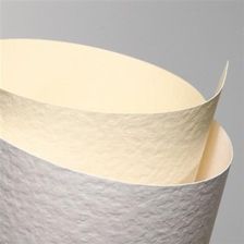 Zdjęcie Galeria Papieru Karton ozdobny A4 Standard Kora biały  - Koluszki