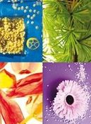 Zdjęcie Kreska Brulion A4/200 Krata Kreska [1706315] - Szczawnica