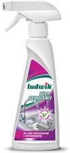 Zdjęcie Grupa Inco Ludwik płyn czyszczący do stali nierdzewnej i chromowanej 250 ml - Pajęczno