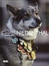 Album Chris Niedenthal. Fotografie - zdjęcie 1