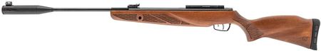 Gamo Hunter Grizzly Pro Igt 4,5mm