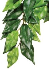 Zdjęcie Exo Terra Roślina Fikus 55Cm - Bytom