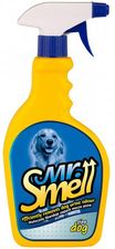 Zdjęcie Dermapharm Mr. Smell Pies 500 Ml - Goleniów