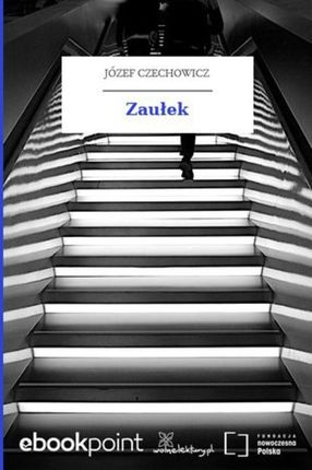 Zaułek (E-book)