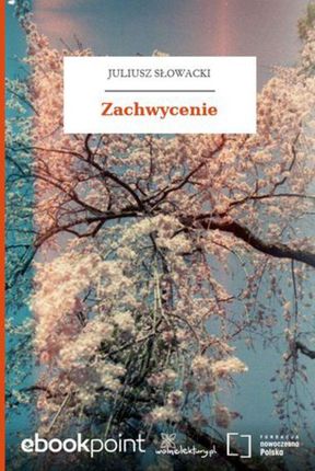 Zachwycenie (E-book)