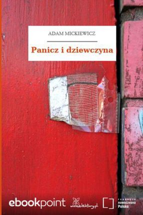 Panicz i dziewczyna (E-book)