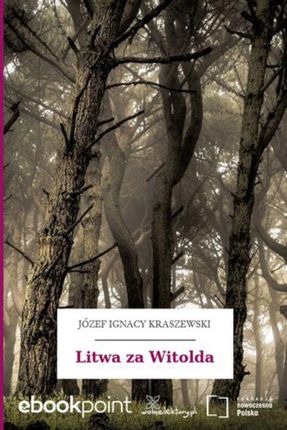 Litwa za Witolda (E-book)