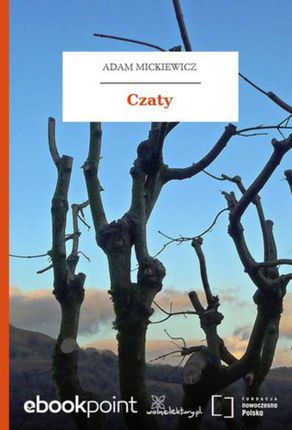 Czaty (E-book)