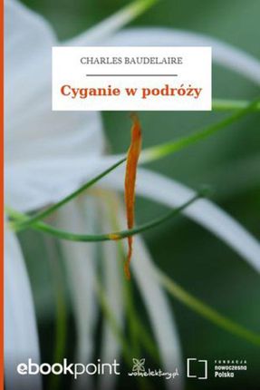 Cyganie w podróży (E-book)