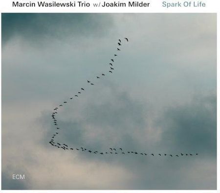 Wasilewski Marcin Trio - Spark Of Life (CD)