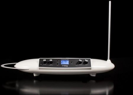 DTM・DAW MOOG / Theremini Moog Theremini Sklep Muzyczny Music Center