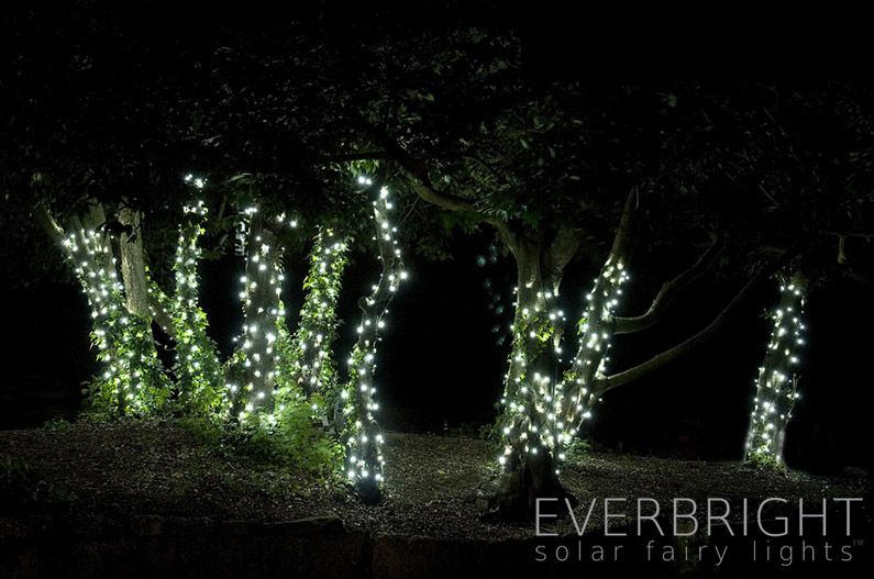 Everbright Solar Everbright Lampki Choinkowe Białe Everbright Solar