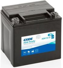 EXIDE AGM12-31
