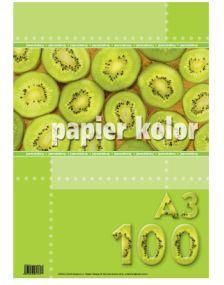 Papier ksero A3/100 Mix kolorów