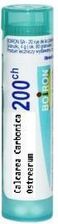 Zdjęcie Boiron Calcarea Carbonica Ostrearum 200CH 4 g - Czersk