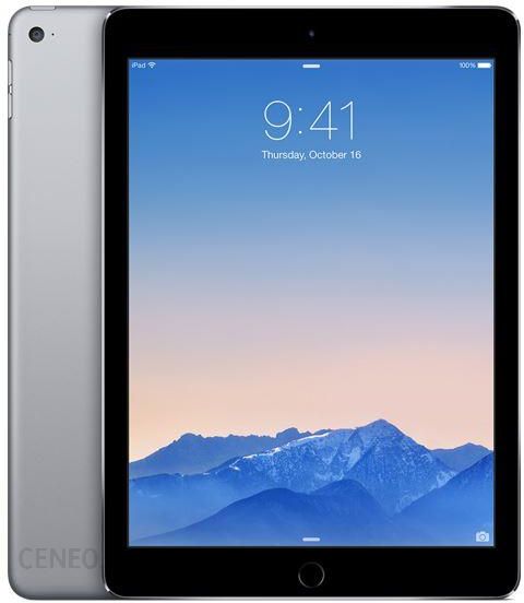 Apple iPad Air 2 128GB Wi-Fi Szary (MGTX2FDA)