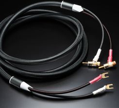 Zdjęcie Furutech Evolution II Speaker - Piaseczno