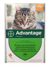 Bayer ADVANTAGE dla małych kotów 4 pipety X 0,4ML