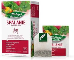 Zdjęcie Herbapol Spalanie suplement diety 20tbx2g - Mrocza