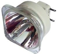 Diamond Lamps Lampa Do Projektora Optoma Rs528 - Lampa Diamond Z Modułem (Sp.8Eh01Gc01)