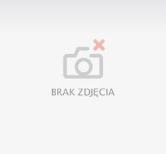 Zdjęcie Polska Fd Victoria Mieszanka Rekreacyjno-Ogrodowa Tc4140 - Tykocin