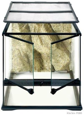 Terrariums Mesoccasions Com Terrariums Mesoccasions Com
