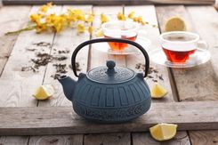 Zdjęcie Garneczki Czajnik żeliwny ALGIER 0,8 l niebieski 50180 - Toruń