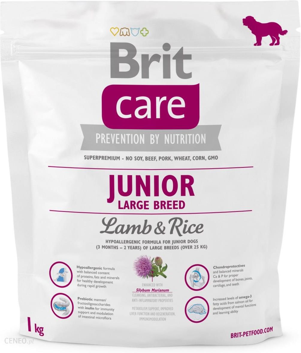 brit care junior large breed lamb & rice