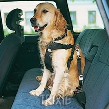 Trixie Szelki do mocowania psa w samochodzie rozmiar S - Szelki dla psów