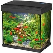 Zdjęcie Hailea Akwarium 30L Czarne Oświetlenie Led + Filtr - Poznań