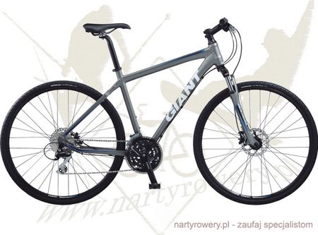 Giant Roam 2010 Rowery Górskie Męskie Ceny i opinie