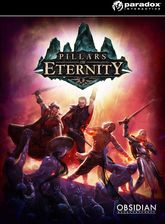 Zdjęcie Pillars of Eternity Hero Edition (Digital) - Lublin