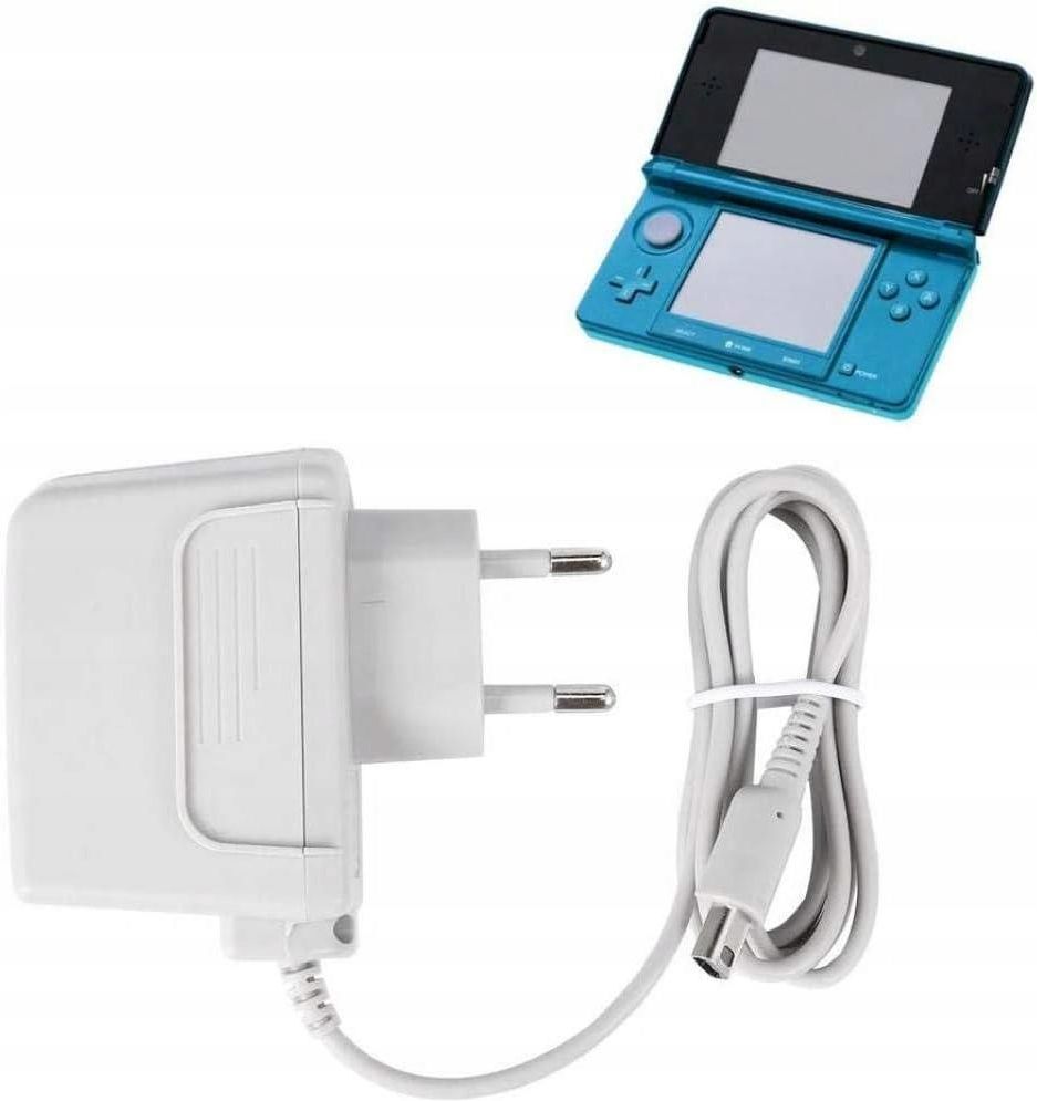 Store Nintendo DS Lite in