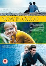 Now Is Good (Niech Będzie Teraz) [EN] (DVD)