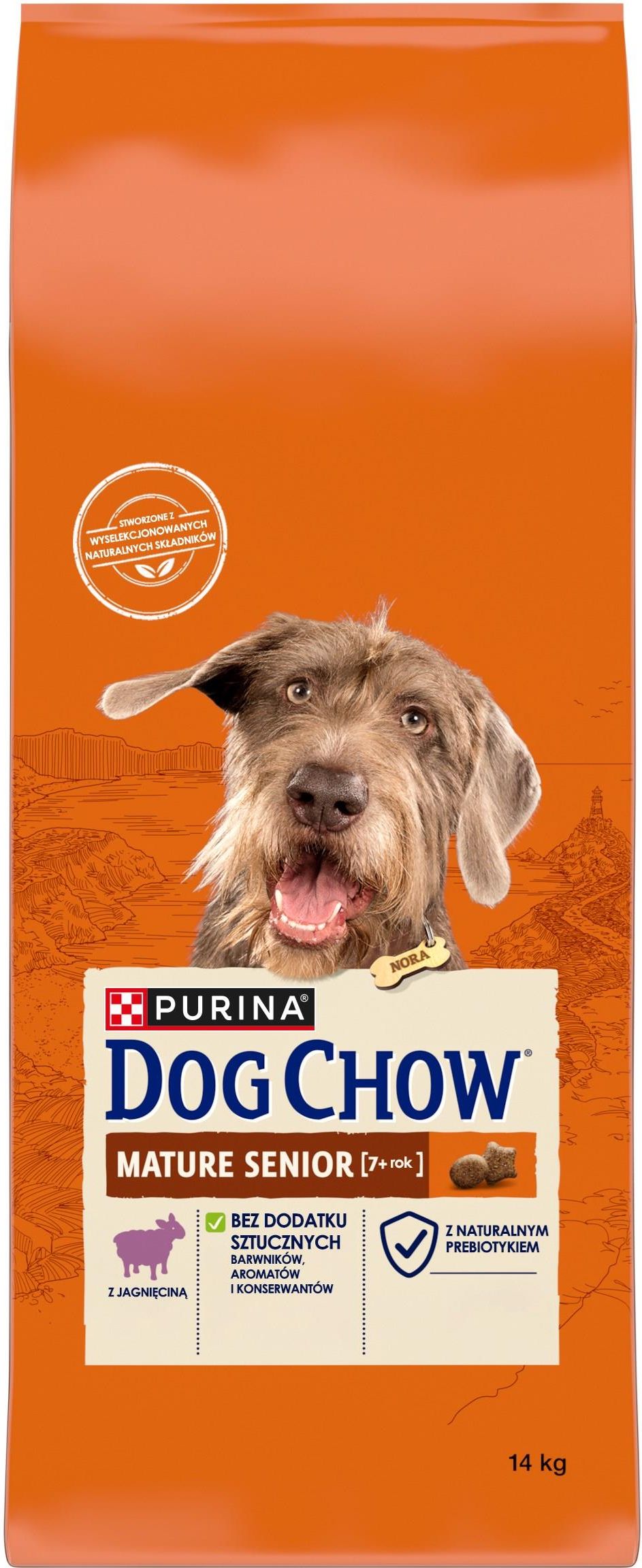 Purina dog chow senior best sale