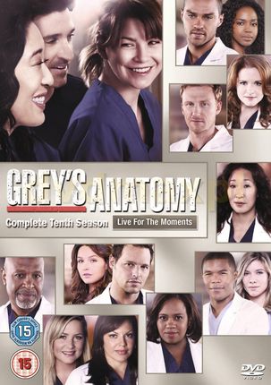 Grey's Anatomy Season 10 (Chirurdzy Sezon 10) [EN] (DVD)