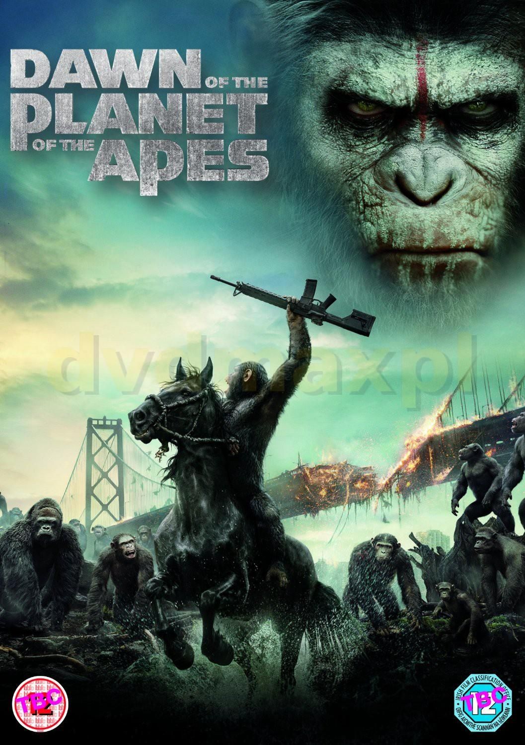 Film DVD Dawn Of The Planet Of The Apes Ewolucja Planety Ma p EN 