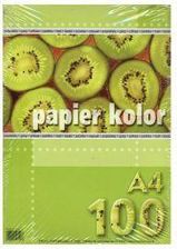 Papier Kolorowy A4/100 Popielaty