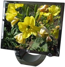 lg flatron l1900e