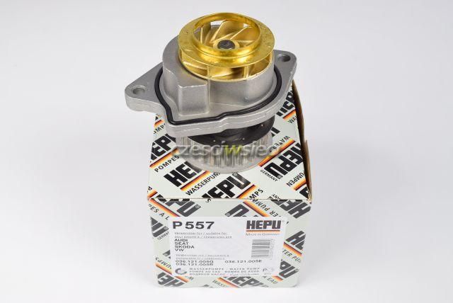 Pompa wody HEPU P557 - Opinie i ceny na Ceneo.pl