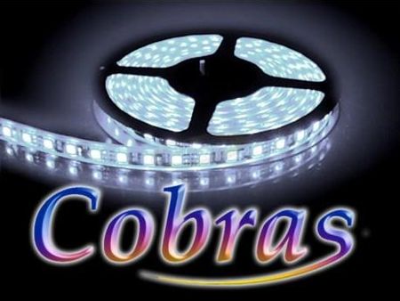 Bowi Taśma LED COBRAS 5050 biała zimna 5m/300diod IP65 6349