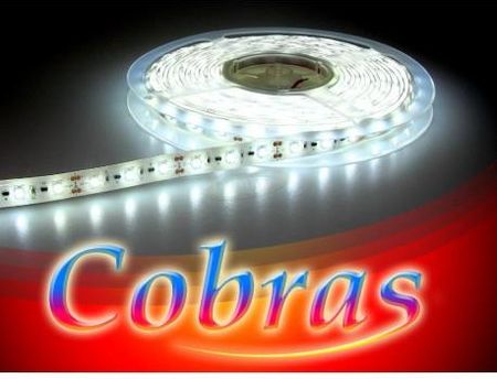 Bowi Taśma LED COBRAS 3528 biała zimna CC 5m/300diod I 000903
