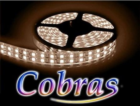 Bowi Taśma LED COBRAS 3528 biała ciepła 5m/1200 24V4519