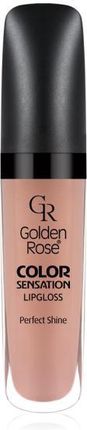 Golden Rose Color Sensation Lipgloss Błyszczyk do ust 107 5,6ml